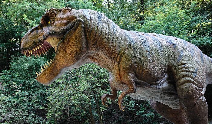 Dve i po milijarde tiranosaurusa je živelo na Zemlji