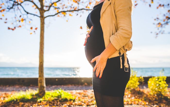 Koliko je sigurno putovati tokom trudnoće?