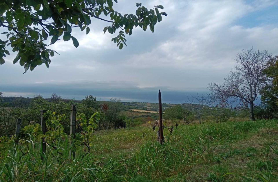 U nedelju humanitarna šetnja na Fruškoj gori, skupljaju se pare za Narodne kuhinje na KiM