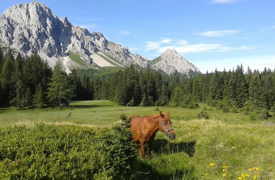 VIDEO: Italijanska regija plaća ljudima da je posete kao turisti, uz jedan uslov