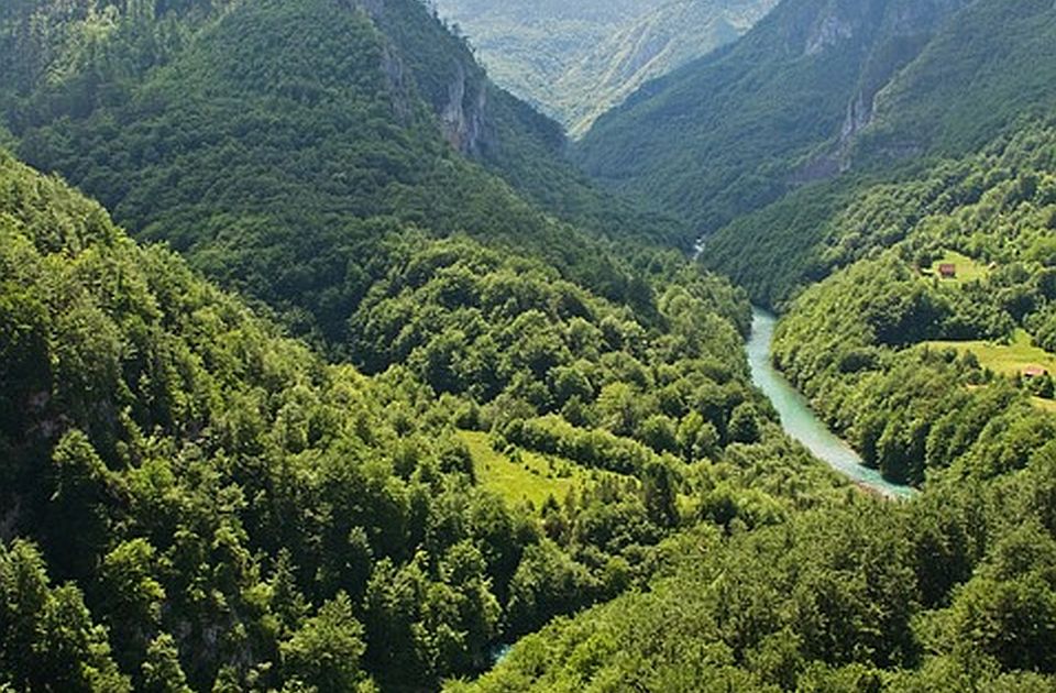 Pronađeno telo devojčice u kanjonu Tare, za drugim detetom i dalje se traga