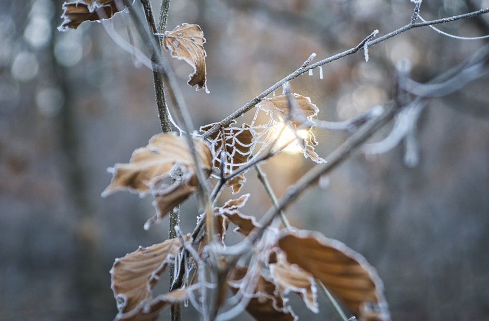 Sutra malo toplije, a onda veoma hladno: U utorak kiša