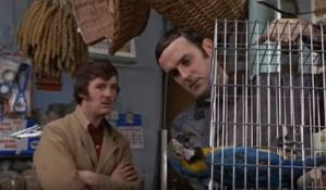 Pola veka od prve epizode Pajtonovaca