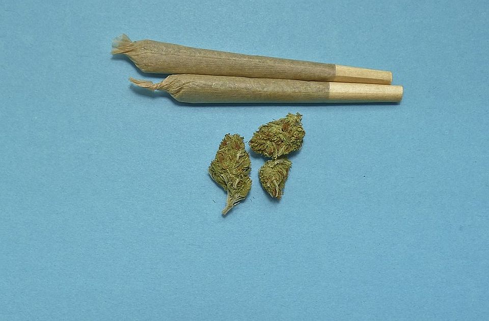 Marihuana je od danas legalna u Nemačkoj