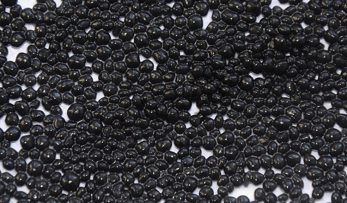 Nekad smo izvozili kavijar u SAD, ribokombinat Đerdap sada u korovu