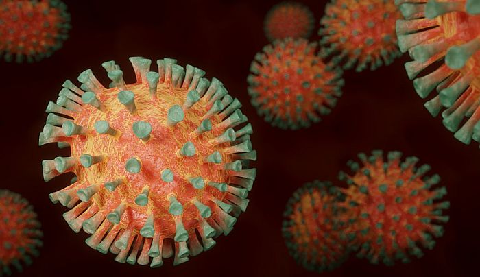 Naučnici traže novo istraživanje o poreklu virusa