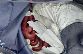 FOTO: U okolini Vranja zaplenjeno pola tone sudžuka i 35 svečanih haljina