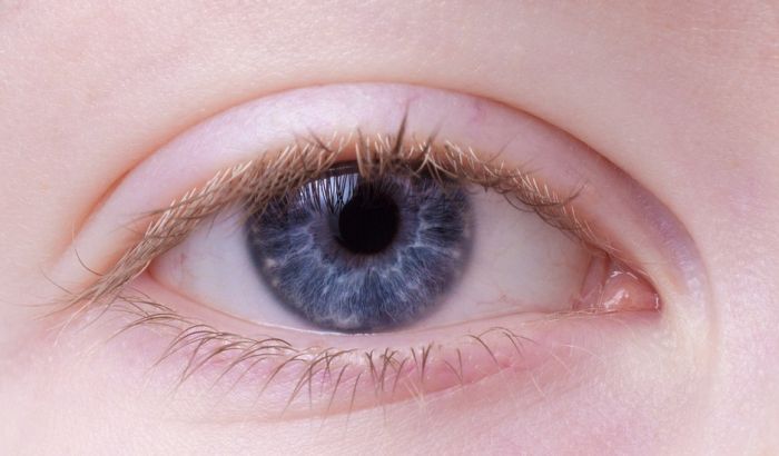VIDEO: Zašto se većina beba rađa plavih očiju