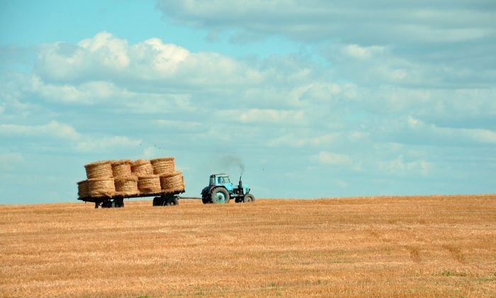 Koliko poljoprivreda utiče na privredni rast Srbije?