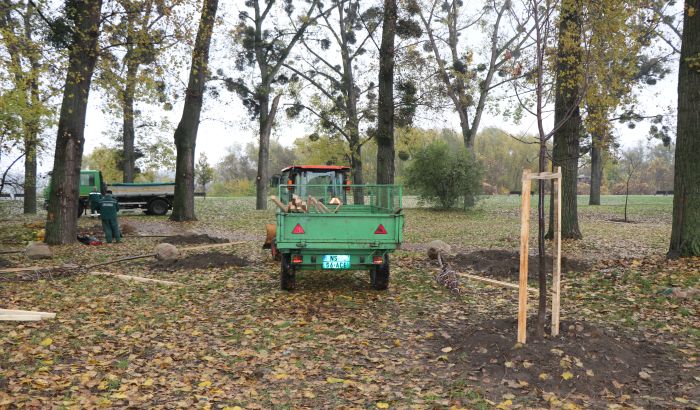 FOTO, VIDEO: Univerzitetski park ostao bez dela starih stabala, ali će dobiti nova