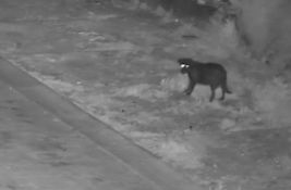 VIDEO: Muškarac na Siciliji dresirao psa da ilegalno baca smeće