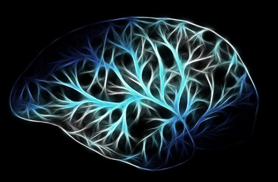 Neke moždane ćelije odolevaju demenciji, a naučnici su konačno otkrili zašto