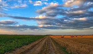 Svega jedan odsto vojvođanskih oranica najvišeg kvaliteta