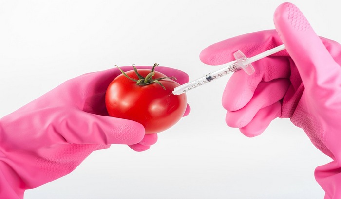 Stručnjaci: Kroz "bočne zakone" legitimiše se GMO
