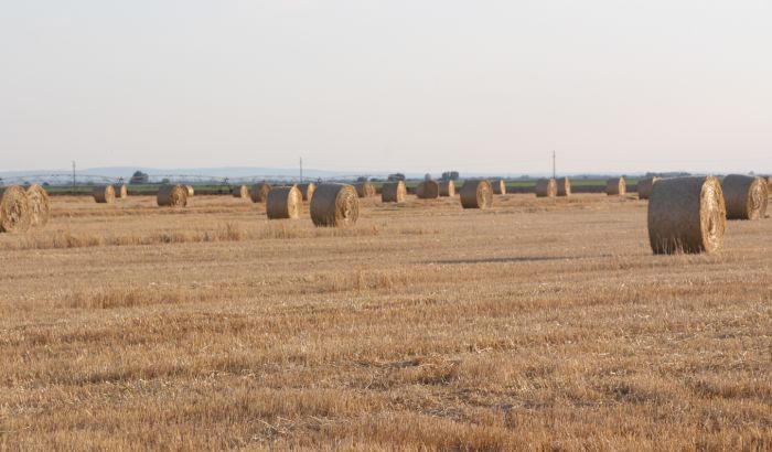 Kikinda: Licitacija zemljišta tek krajem decembra