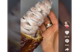 VIDEO: Snimak kako zapravo izgledaju zrna kakaa izazvao nelagodu kod ljubitelja čokolade