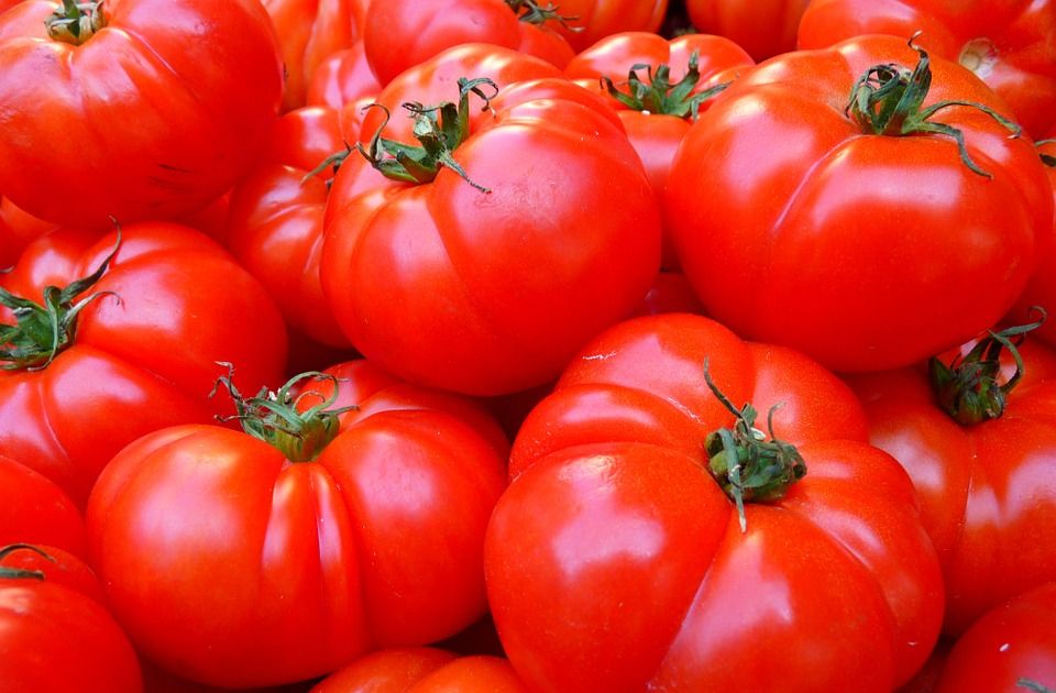 Nedimović najavio pomoć proizvođačima paradajza