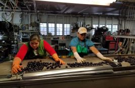 U prerađivačkoj industriji 11.510 radnika ostalo bez posla