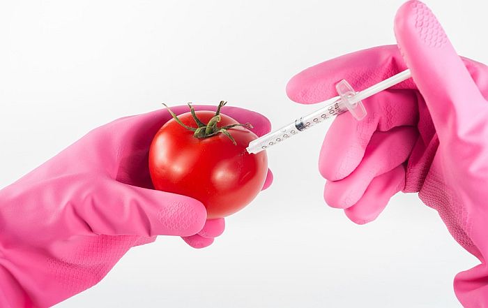 Nedimović: U Srbiji nulta tolerancija na GMO