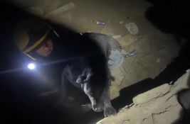 VIDEO: Novosadski vatrogasci spasili psa iz rupe u katakombama Petrovaradinske tvrđave