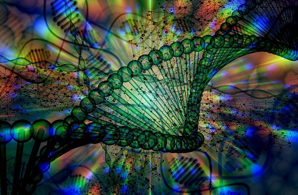 Otkriven novi neuro-razvojni poremećaj skriven u našim genima