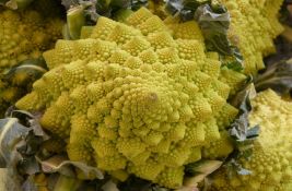 Šta je romanesko brokoli?