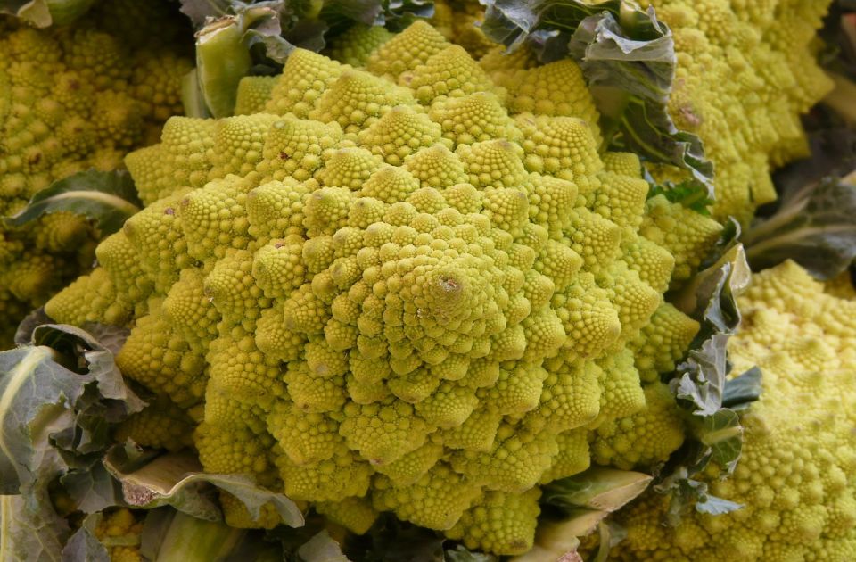 Šta je romanesko brokoli?
