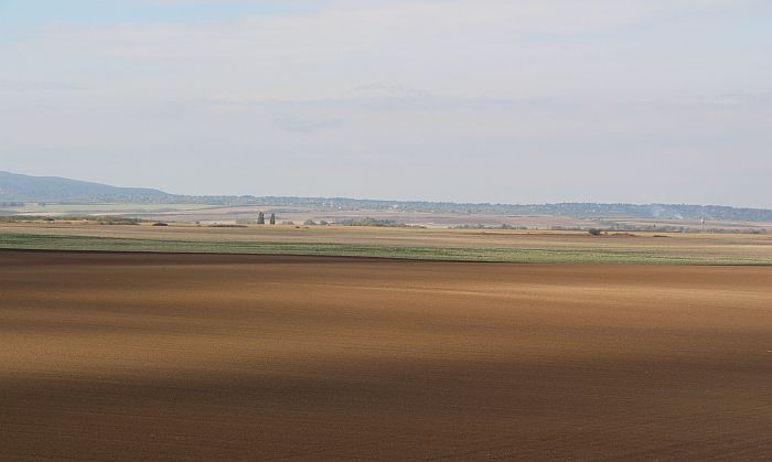 Zapuštene oranice moraće da budu prijavljene