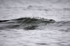 Pronađeno beživotno telo ispod Kaćkog mosta