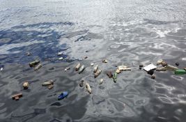 U utrobi kita pronađeno 16 kilograma plastike