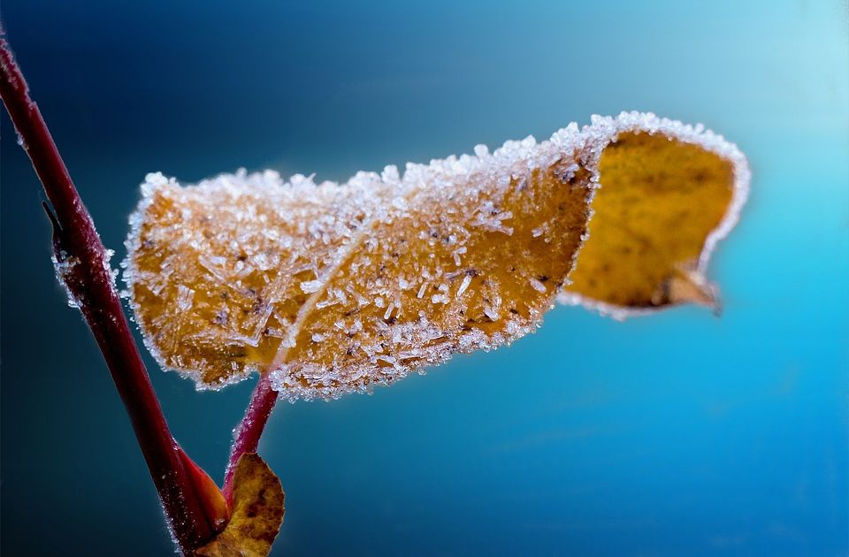 U ponedeljak ujutro minus osam stepeni