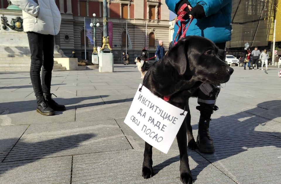 FOTO: Protesti u Beogradu i Nišu za bolje uslove u prihvatilištima za pse