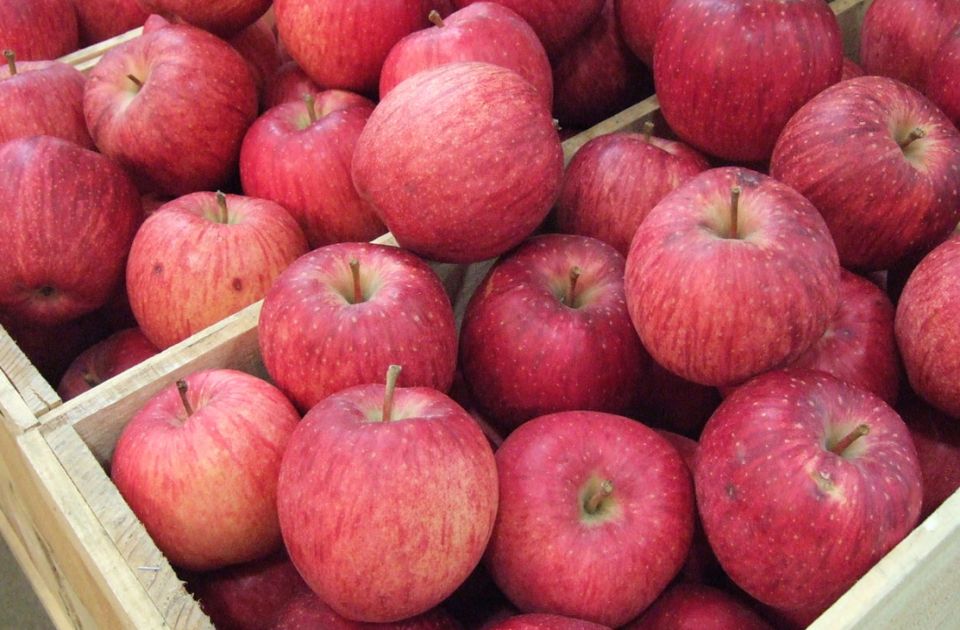 Zanimljivosti o jabukama koje možda ne znate