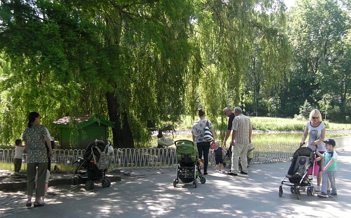 Naučnici: Samo 20 minuta u parku dobro za mentalno zdravlje, potrebno više zelenila i parkova
