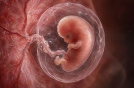 Koreni mnogih pobačaja mogli bi voditi do perioda pre nego što je majka uopšte rođena