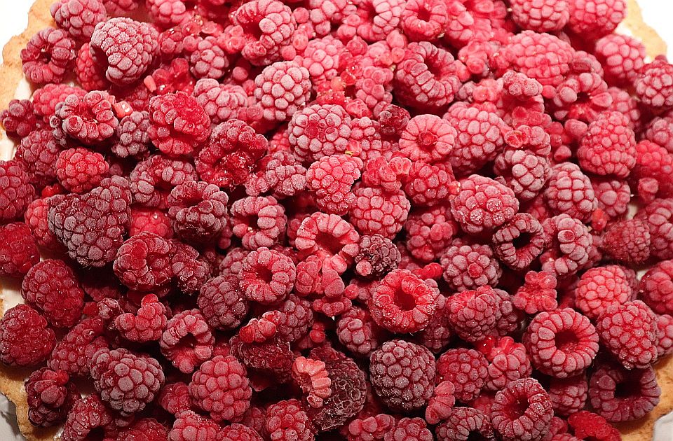 Tehnolog o hepatitisu A u zamrznutom voću iz Srbije: Postajemo tranzitna zona za spornu hranu