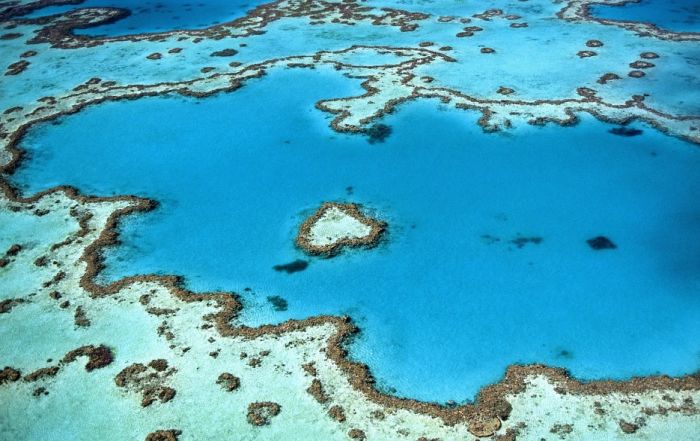 Poplave u Australiji ugrozile Veliki koralni greben