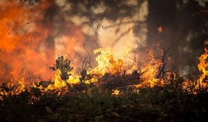 U Grčkoj u poslednja 24 sata 51 šumski požar