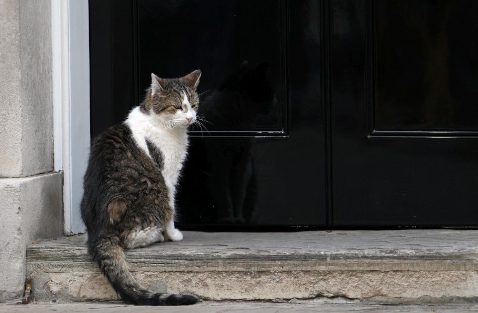 FOTO Mačak Lari ispratio i šestog premijera iz Dauning strita: "Prihvatio sam ostavku Starmera"