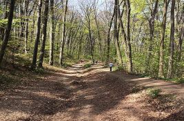 Gorska služba spasila dvoje izgubljenih na Fruškoj gori