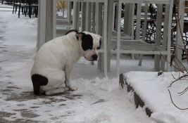 I sutra sneg i minus u Novom Sadu