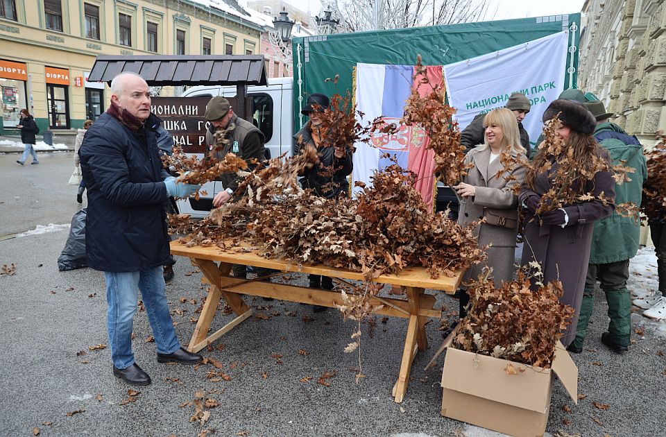 Podeljeni besplatni badnjaci na Trgu slobode i drugim lokacijama u okolini Novog Sada