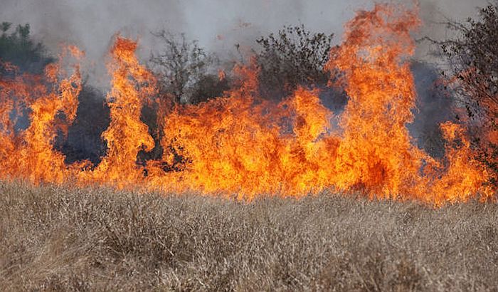 VIDEO: Učestalo paljenje njiva u Pančevu