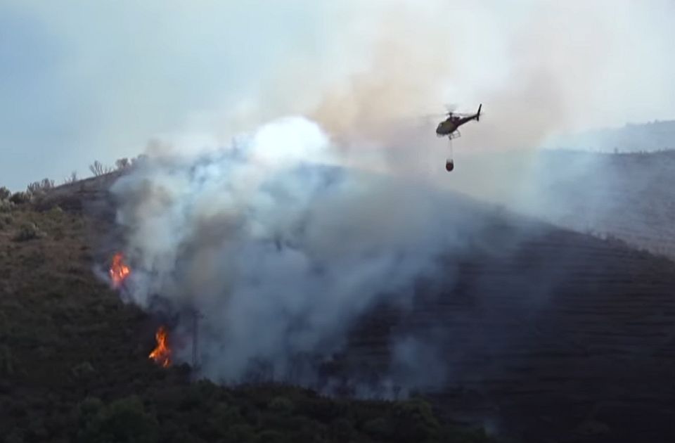 VIDEO: Neugašena cigareta izazvala veliki šumski požar u Kataloniji