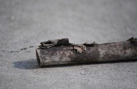 Orezan drvored u Zrenjaninu: Građani tvrde da je drveće bilo zdravo