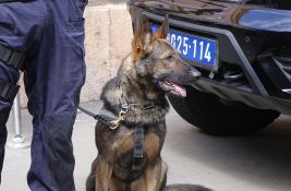 Policija traga za starijom ženom koja se izgubila u Zvezdarskoj šumi