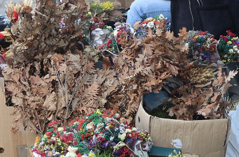 Danas podela besplatnih badnjaka: Nacionalni park "Fruška gora" apeluje da ne bude divlje seče