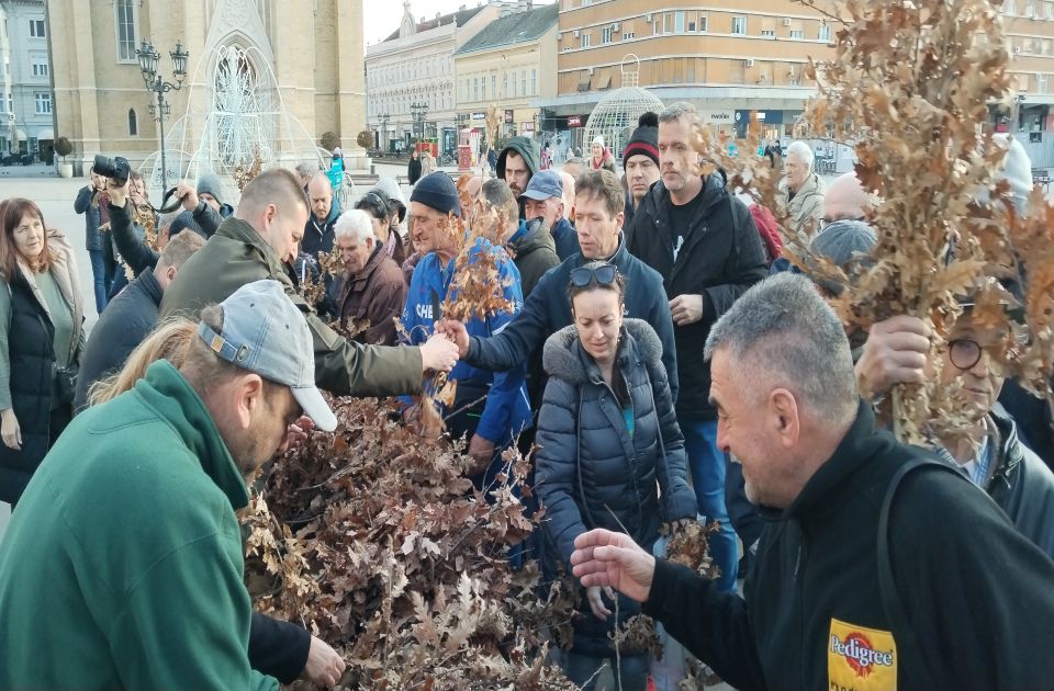 FOTO Podeljeni badnjaci Novosađanima ispred Gradske kuće: Dele se i u drugim opštinama