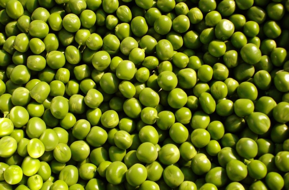 Kako da zamrznuti grašak sačuva ukus i vitamine: Evo rešenja