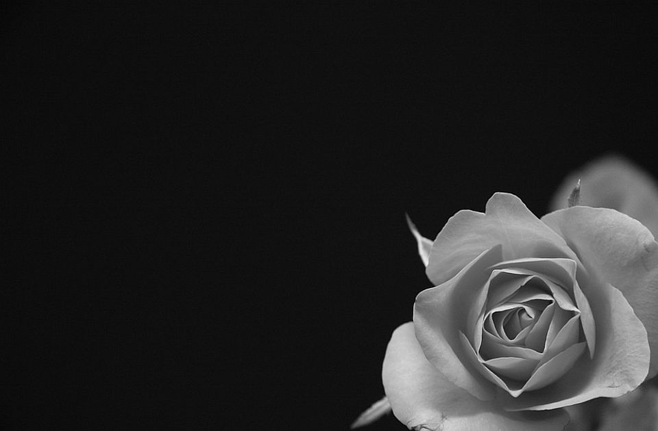 Ulični marš u Novom Bečeju: Položene 23 bele ruže u sećanje na 23 ubijene žene u 2022.